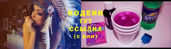 дживик Киренск