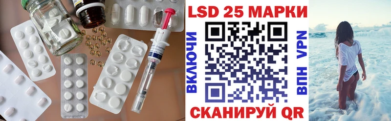 ссылка на мегу как войти  Курчалой  LSD-25 экстази ecstasy  цена наркотик 