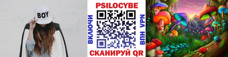 Псилоцибиновые грибы Cubensis  Курчалой 