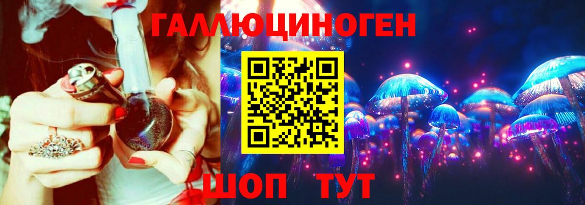 Галлюциногенные грибы Cubensis Курчалой