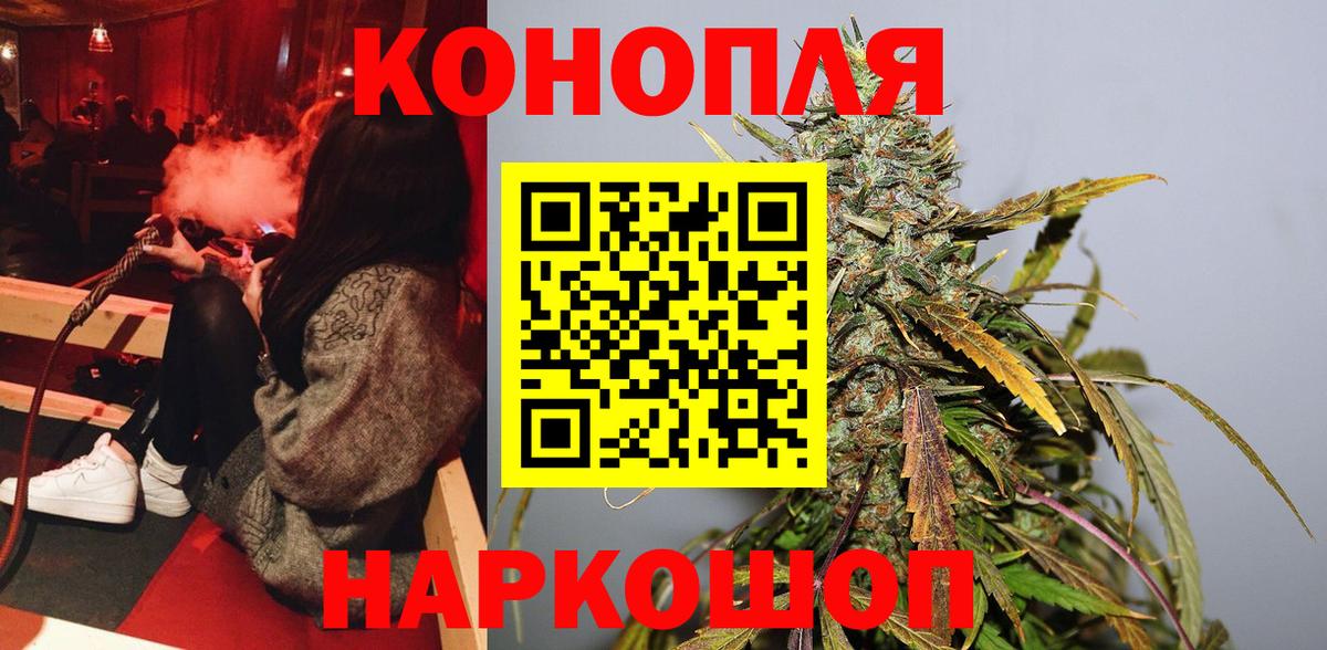 Марихуана тримм  Вход с VPN  Марихуана Ganja  Марихуана план  Курчалой 